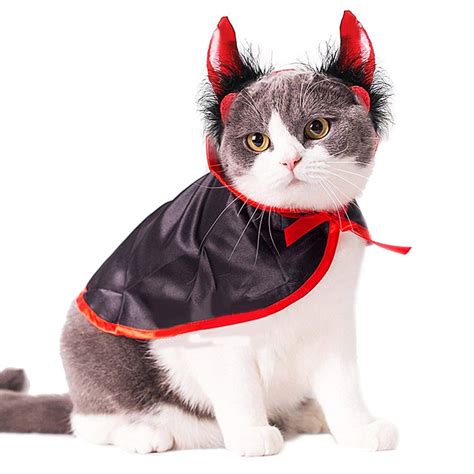 cat in devil costume|devil cat costume ideas.